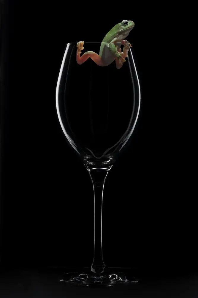 Wolbers, Louise: Cheers