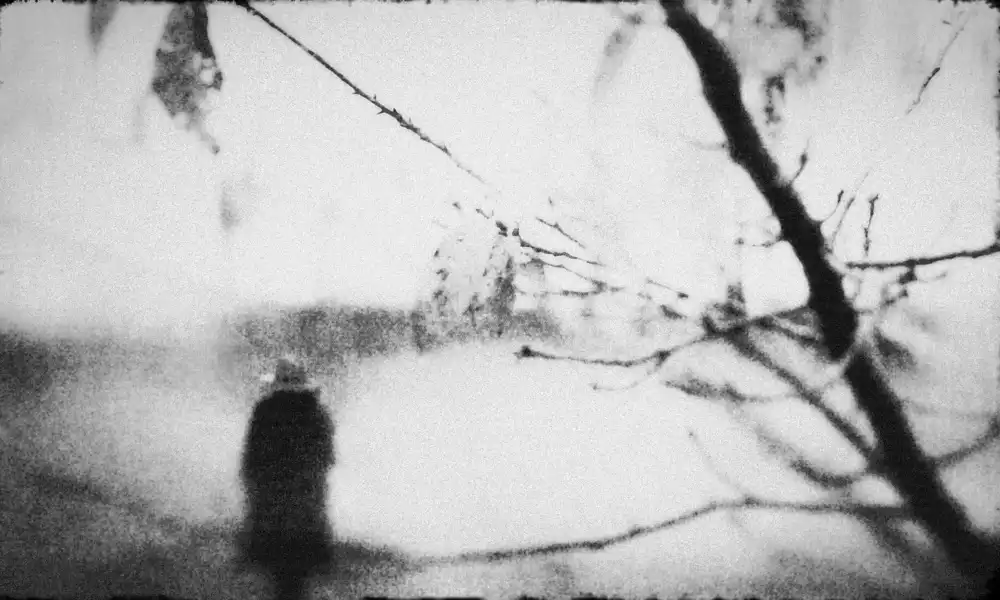 Tsuchida, Teruhiko: Loneliness...