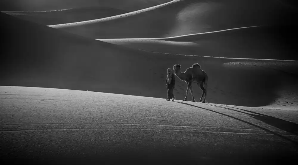 Hartojo, Muliani Angela: Deserto