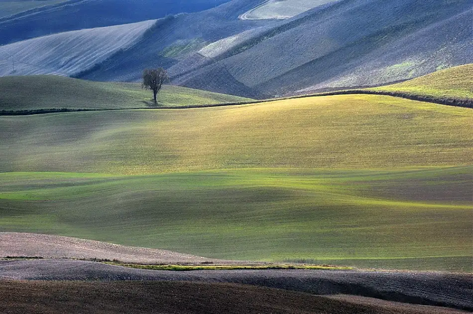 Kravanja, Jure: Paese delle meraviglie