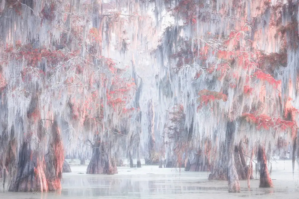 Marchegiani, Roberto: Řeka Atchafalaya