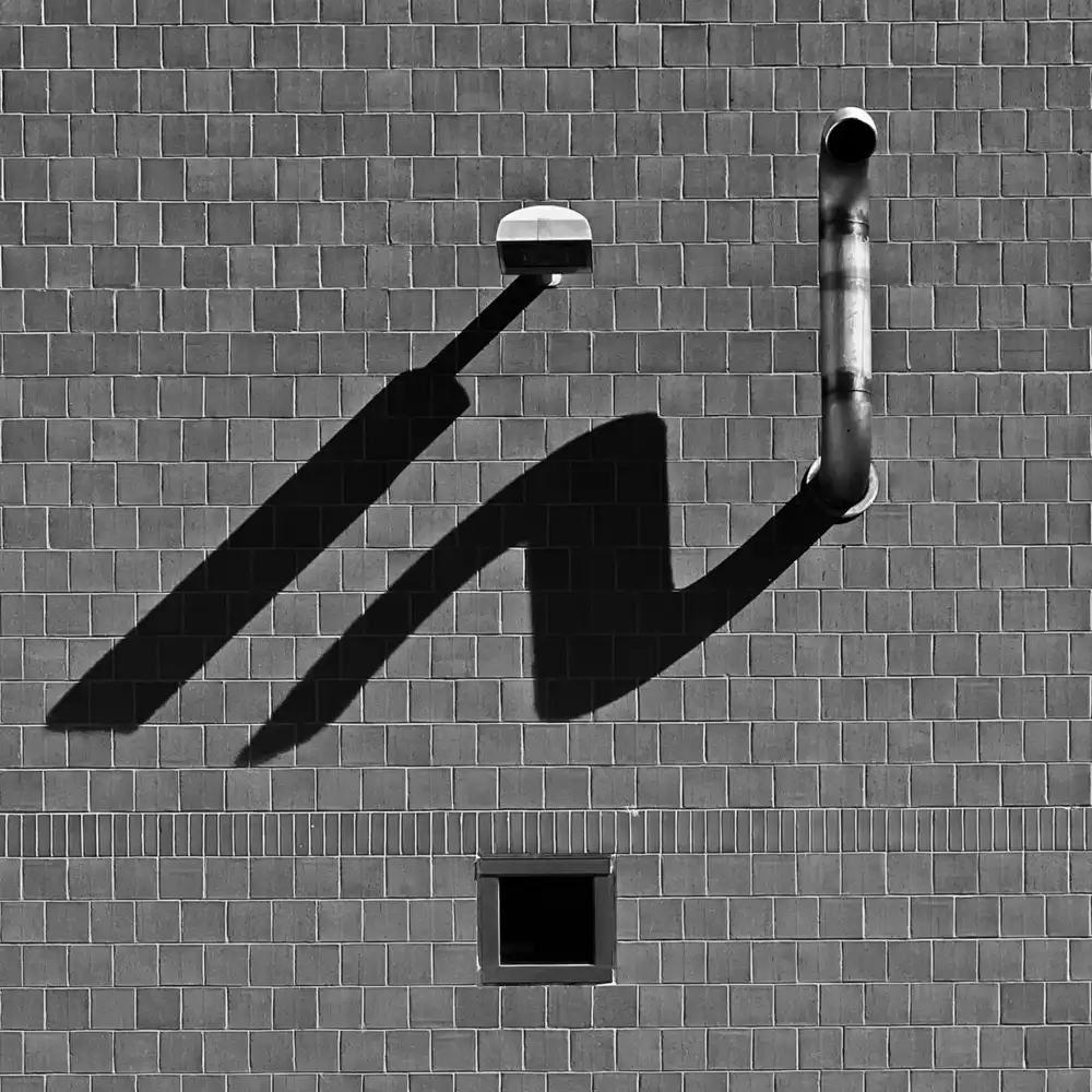 Li, Rob: ENTRÉE SORTIE