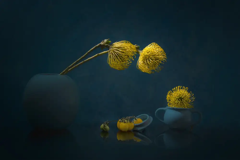 Jacobs, Lydia: Leucospermum jaune