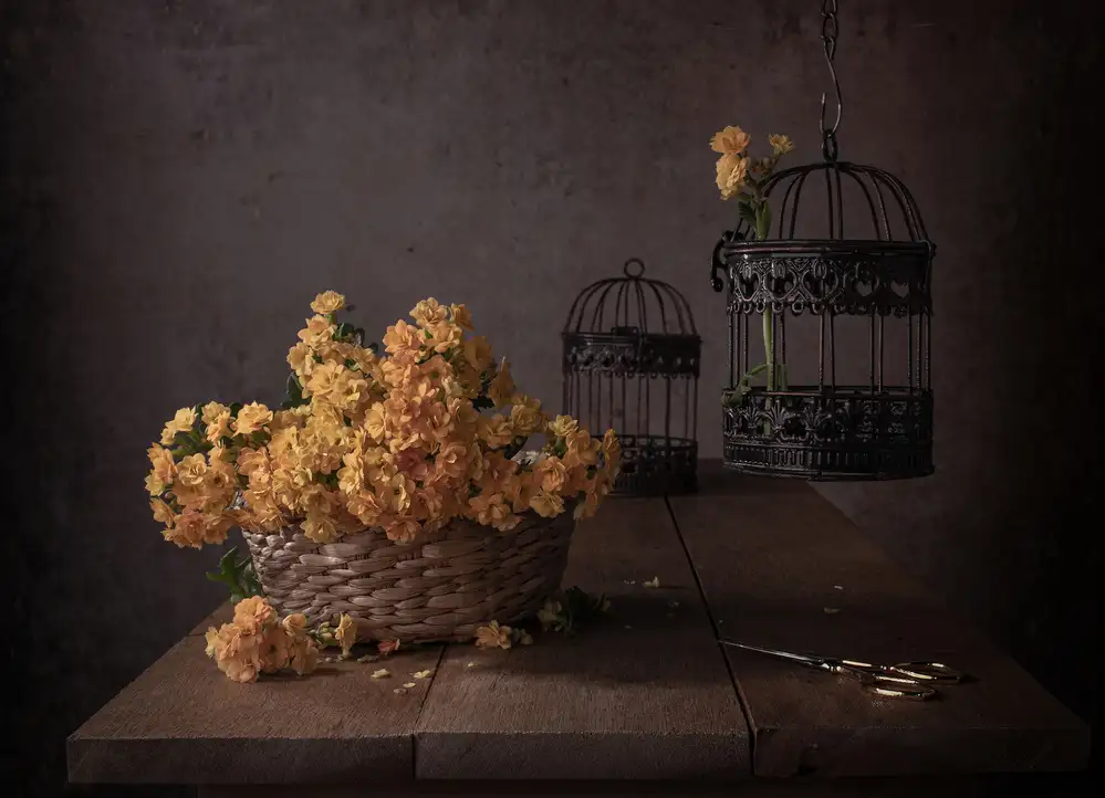 Perfoncio, Margareth: Yellow
