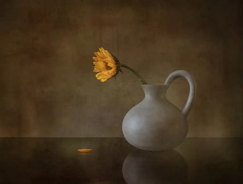 May, G.: Vida