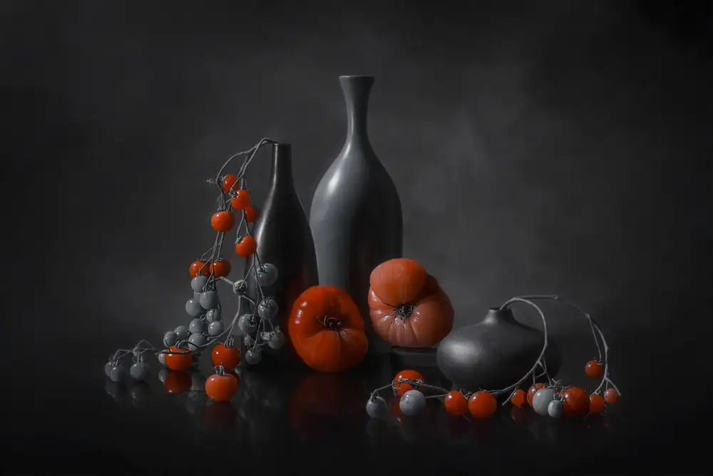 Jacobs, Lydia: Tomates du jardin