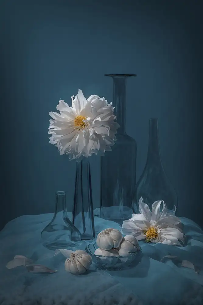 Jacobs, Lydia: Ail et Dahlia
