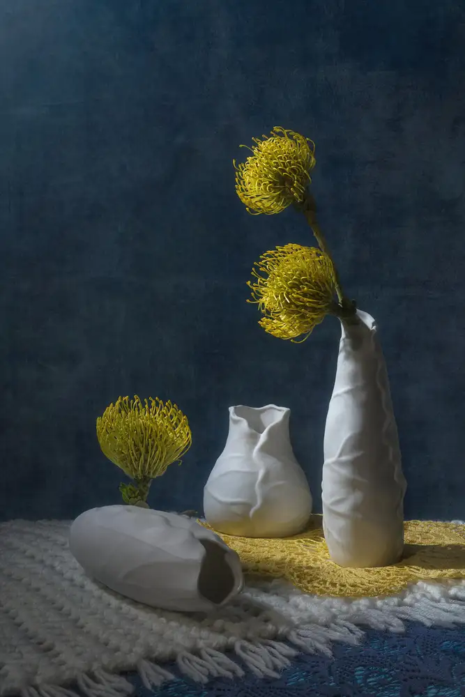 Jacobs, Lydia: Trois Leucospermum