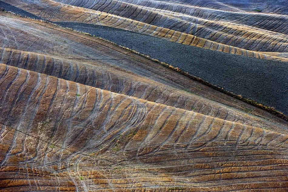Kravanja, Jure: Terciopelo azul