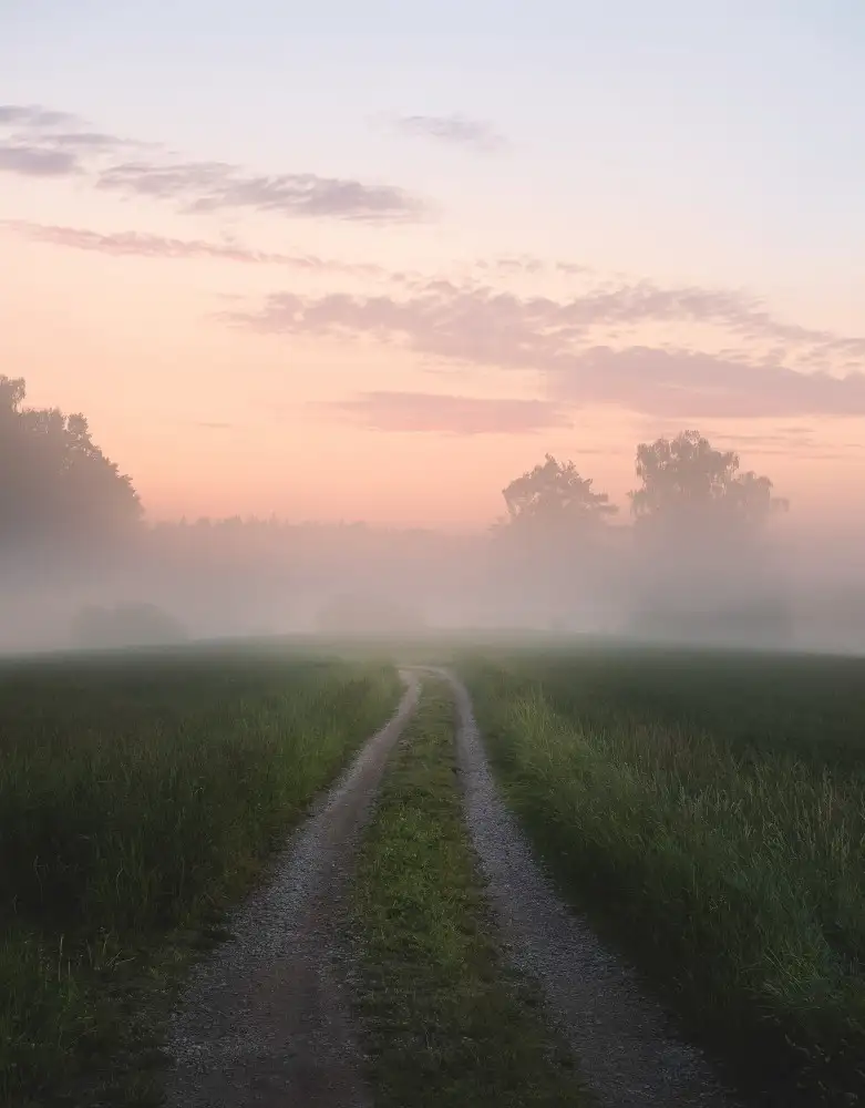 Lindsten, Christian: Foggy road