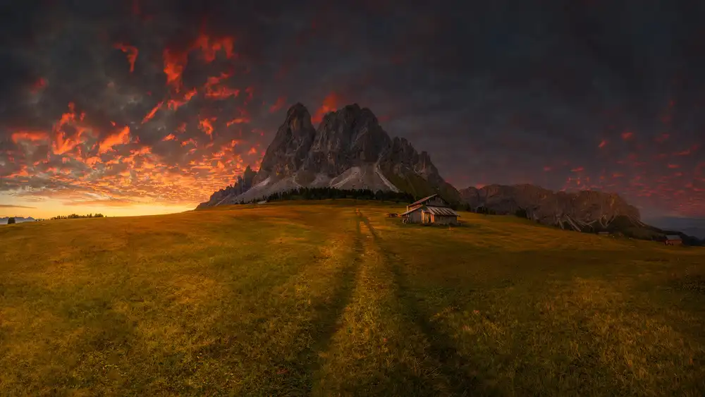 Rojek, Tomasz: Passo...