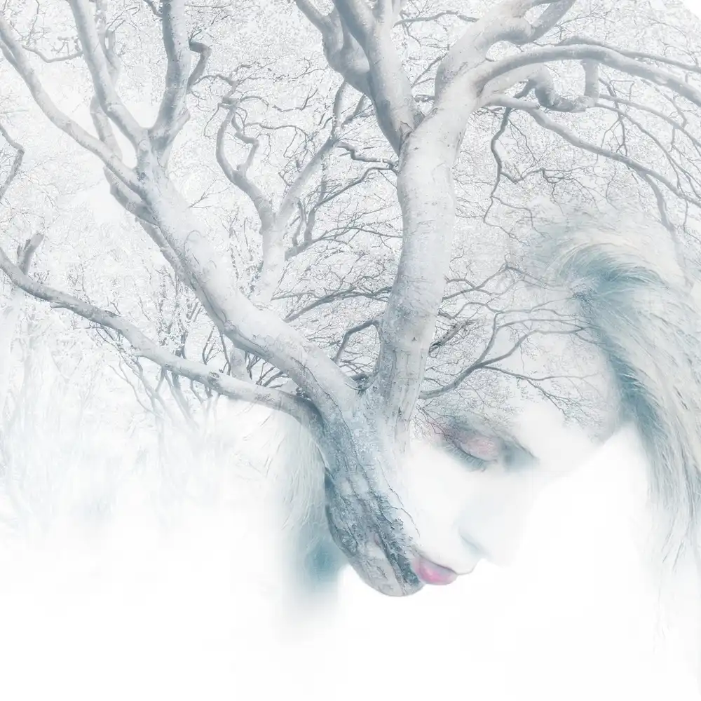 Gregorio, Tommaseo: L'albero