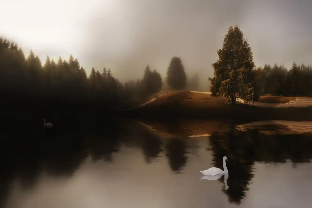 Michael: lago de los cisnes