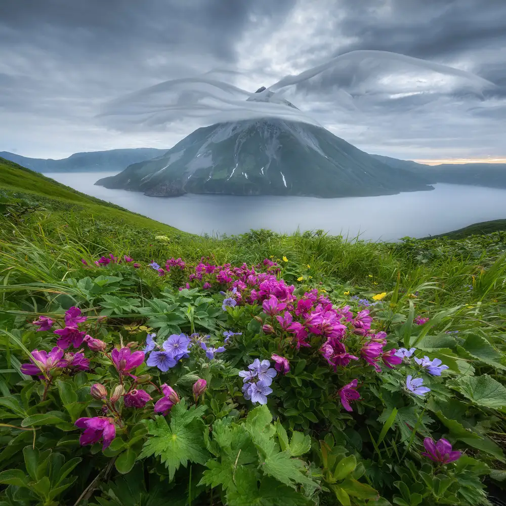 Kukrinov, Alexandr: Flowers and wings...