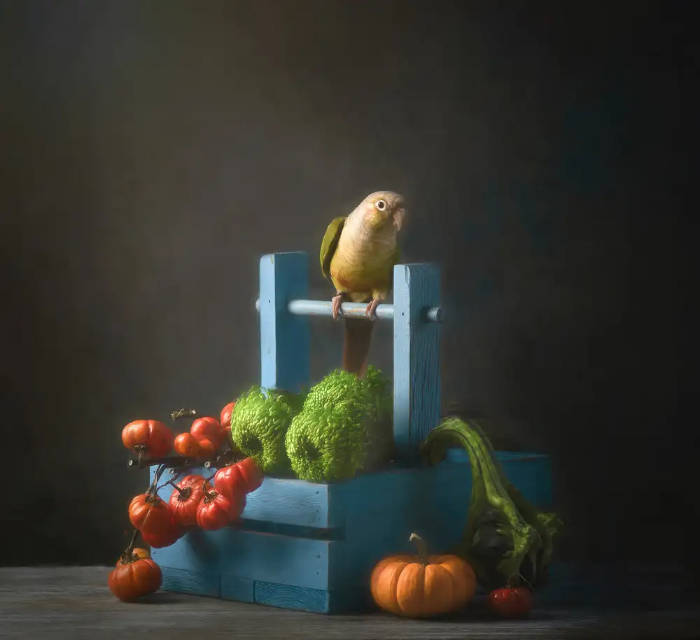 Catherine, W.: Bienvenue à l'automne