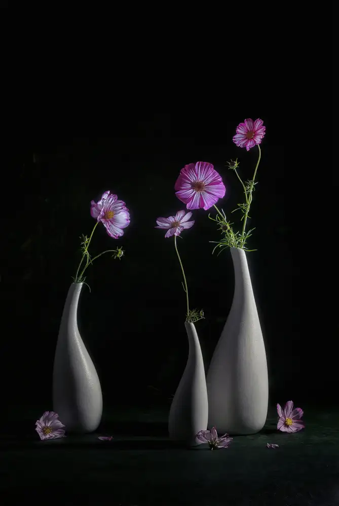 Jacobs, Lydia: Cosmos élégant
