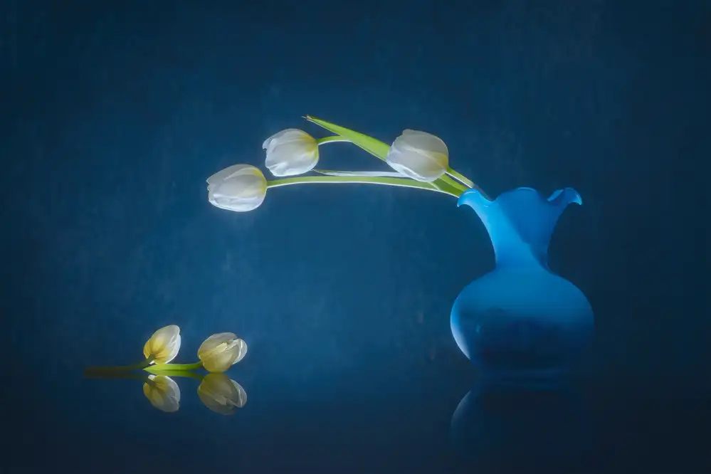 Jacobs, Lydia: Tulipes parlantes