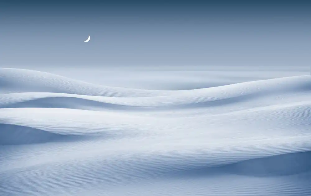 Shanyewuyu: 沙漠