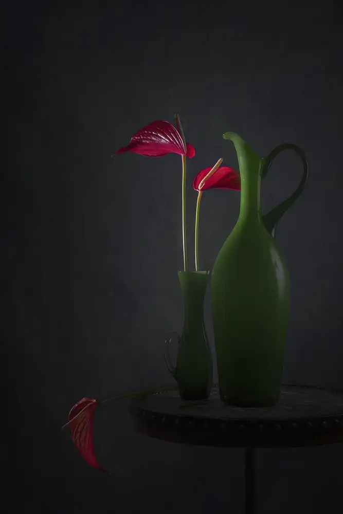 Jacobs, Lydia: Anthurium rouge