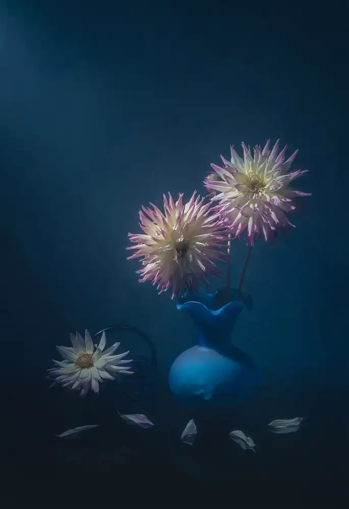 Jacobs, Lydia: De jolis dahlias