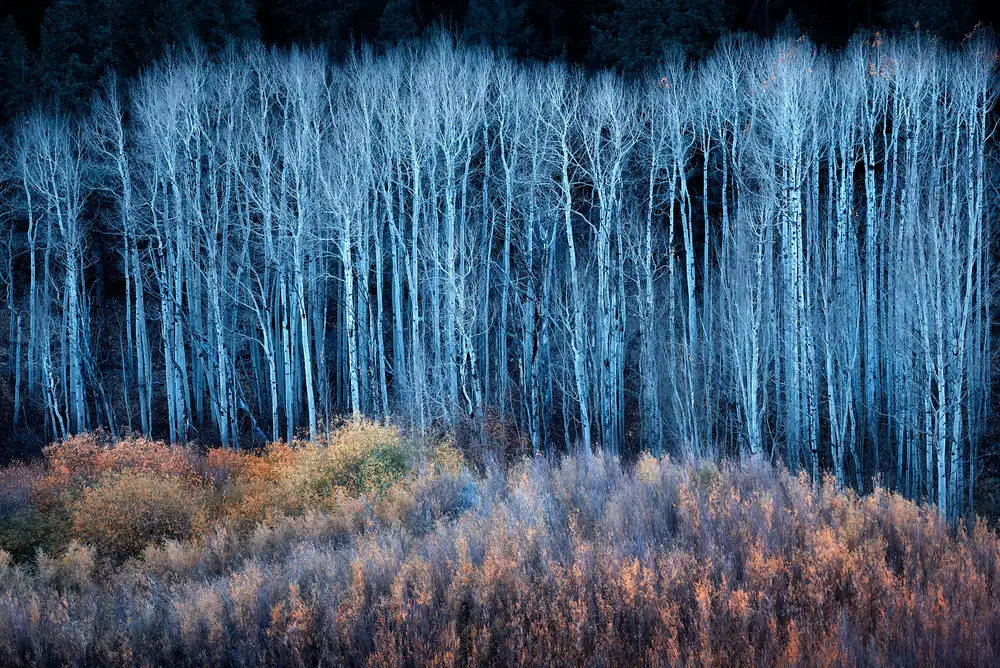 Xu, Mei: Fin de l'automne