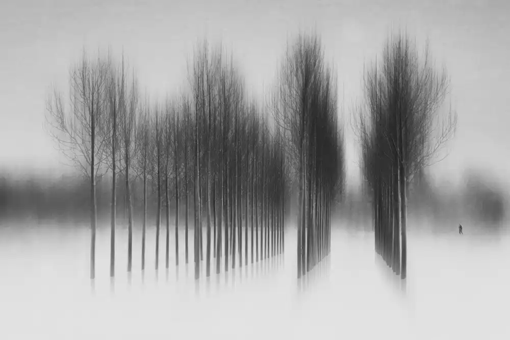 Schleicher-Schwarz, Roswitha: camminatore delle nevi