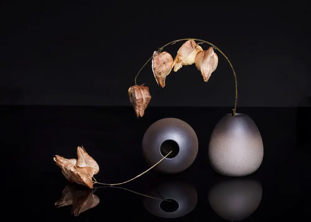 Chen, Ming: Bud lantern