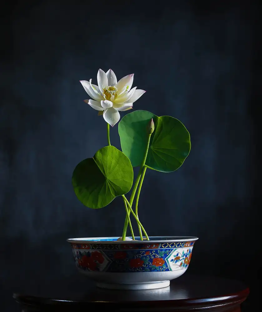 Zhou, Fangping: Cuenco de loto