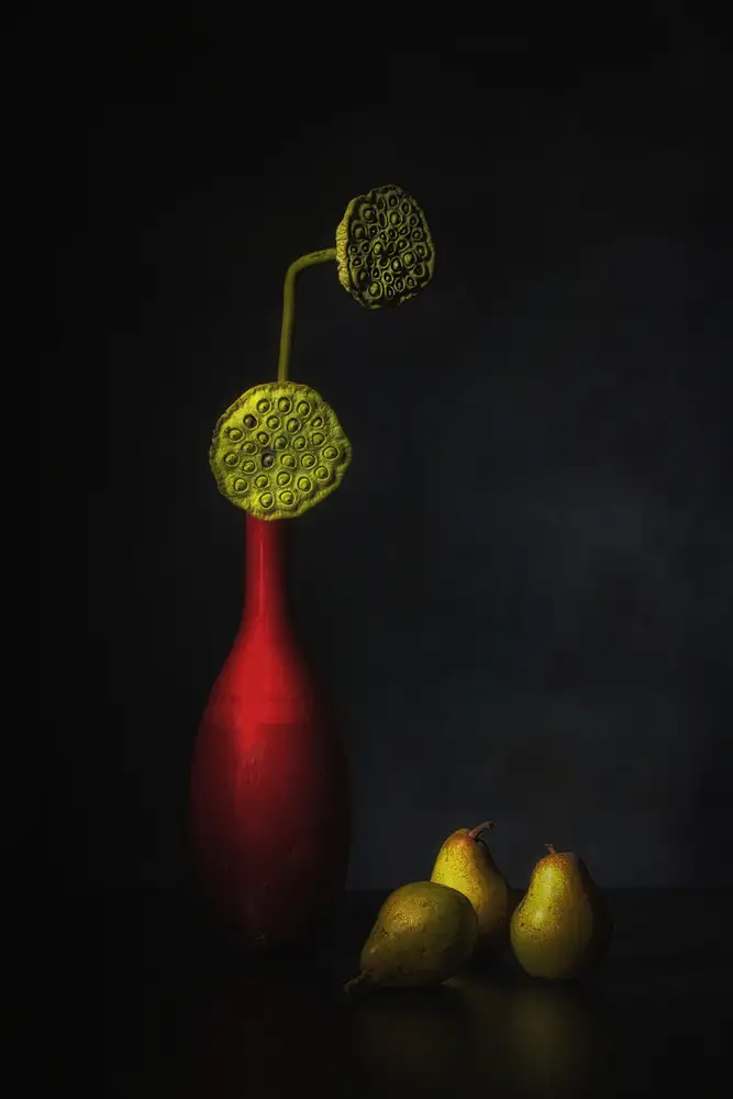 Dingemans, Saskia: Sogno d'autunno