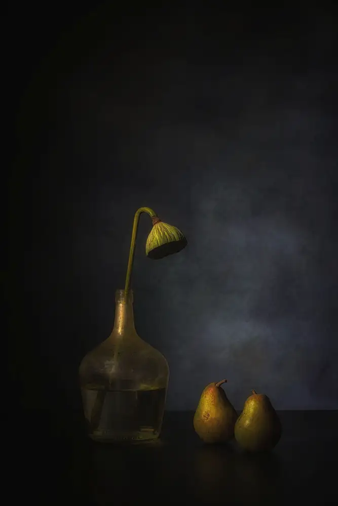 Dingemans, Saskia: Sentimientos de octubre
