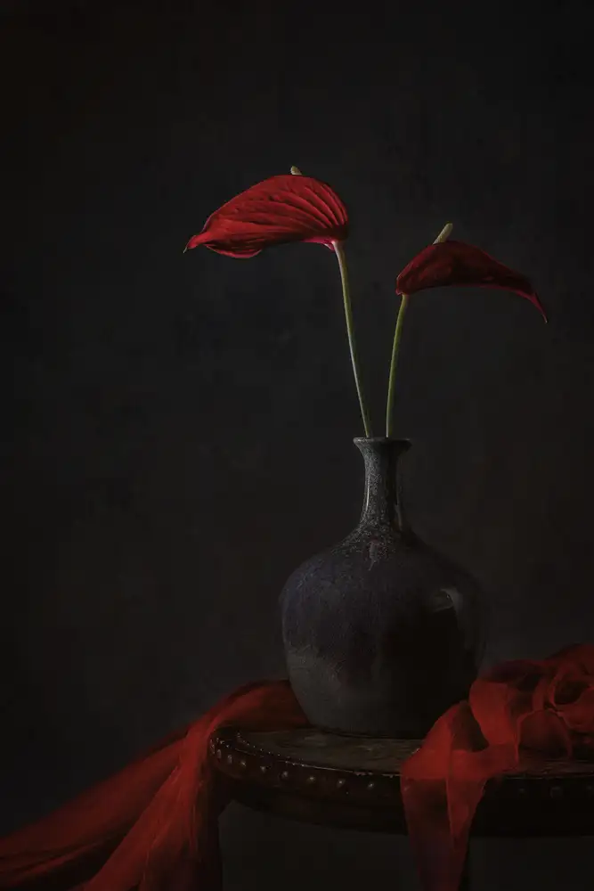 Jacobs, Lydia: Tropické Anthurium