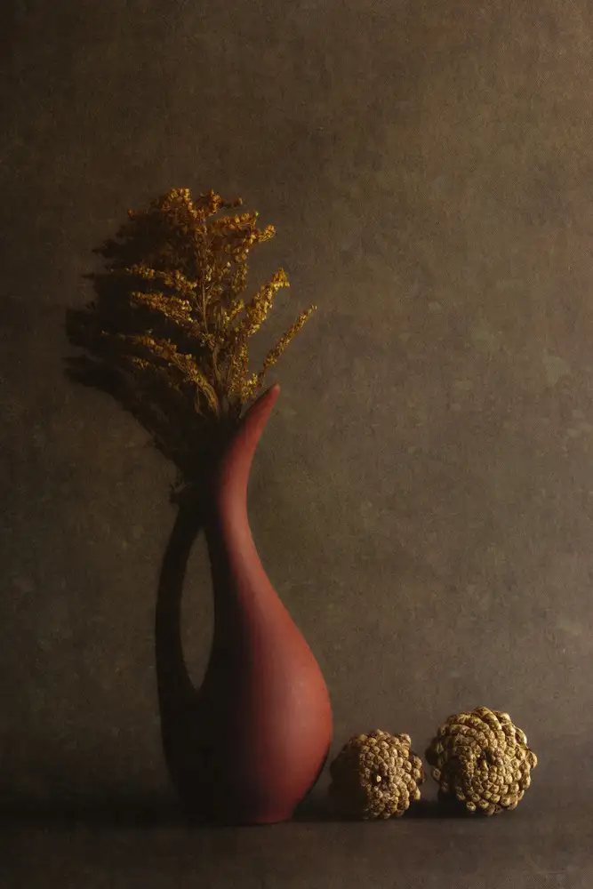 Kiral, Cicek: Lumière floue