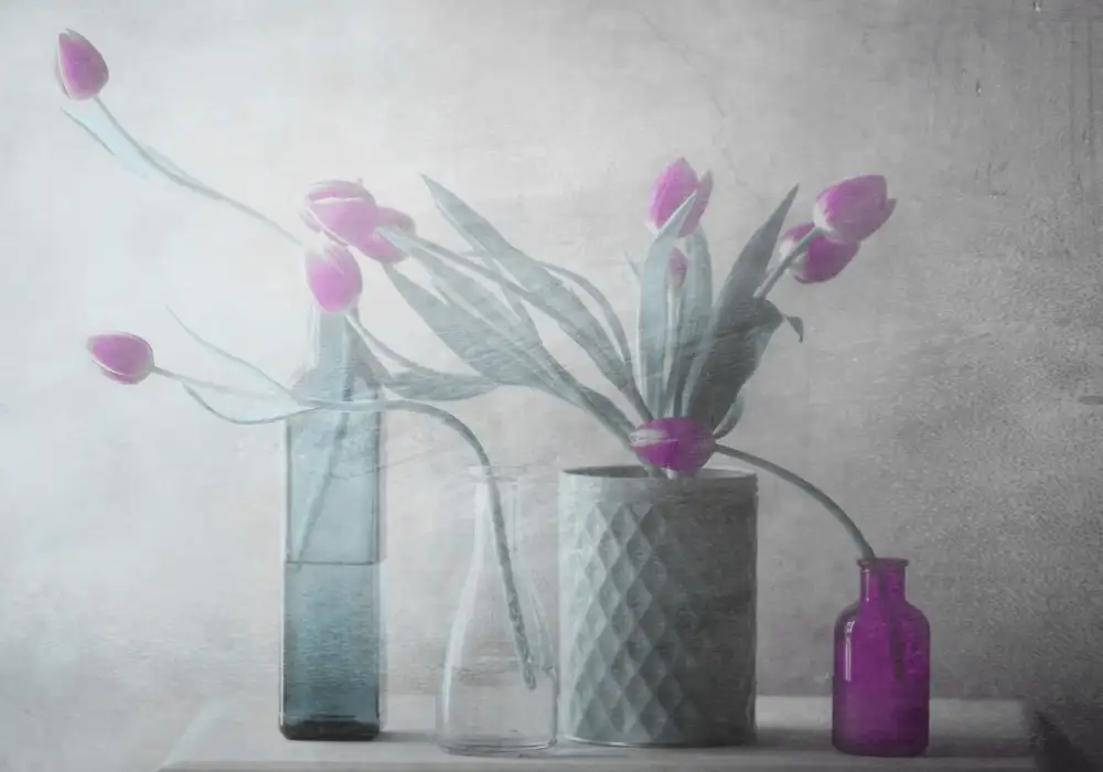 Devos, Delphine: Tulipes violettes
