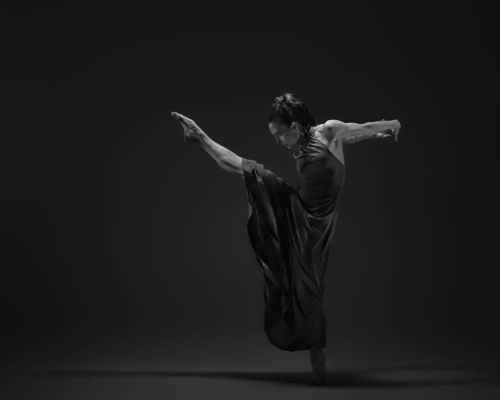 Li, Rob: The shadow