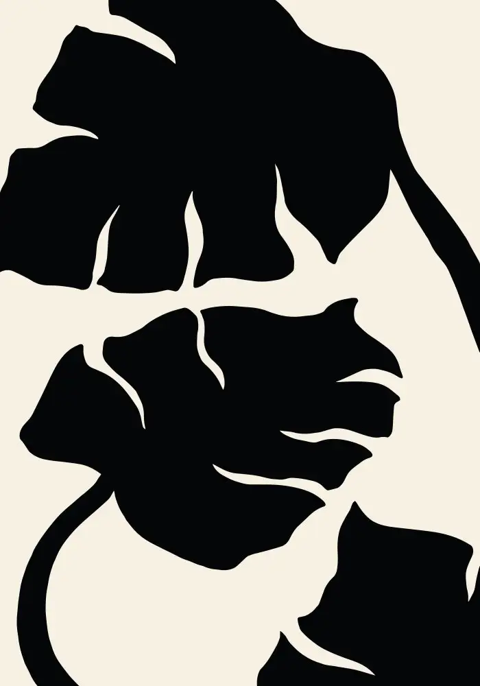 Studio, Pictufy: Monstera Black