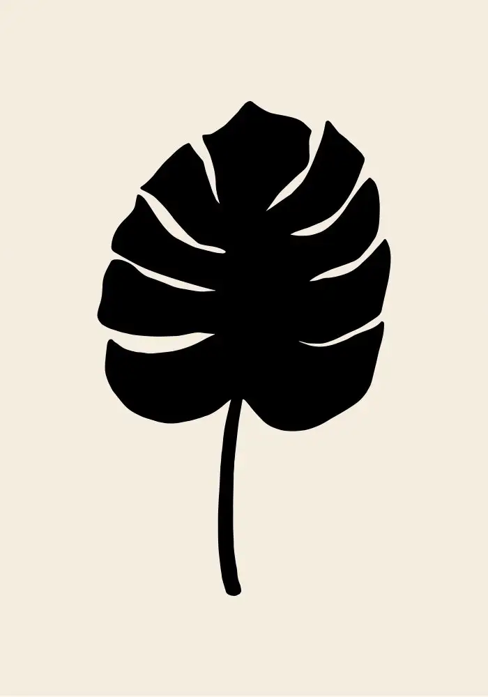 Studio, Pictufy: Foglia di Monstera nera