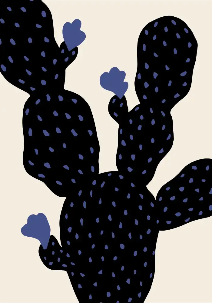 Studio, Pictufy: Cactus di fico d'india