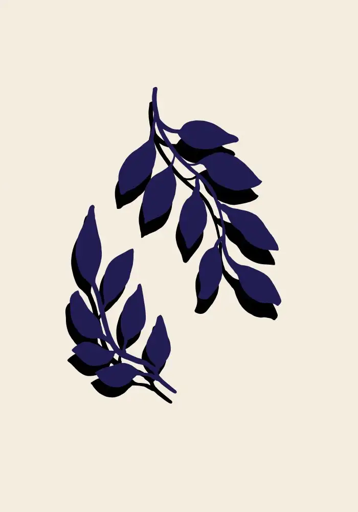 Studio, Pictufy: Ramoscelli blu