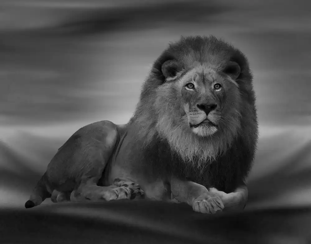 Wisniowska, Krystina: The Lion King