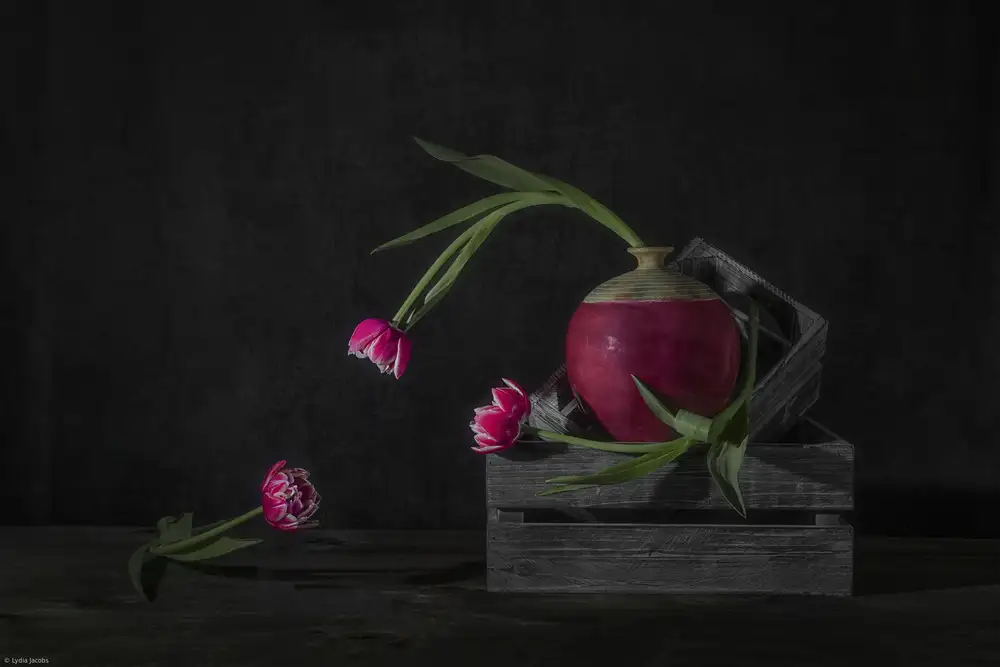 Jacobs, Lydia: Tulipes Chitcha