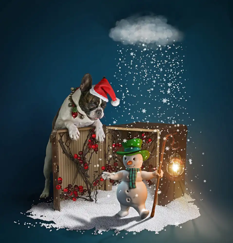 DDiArte: Dali and Snowman