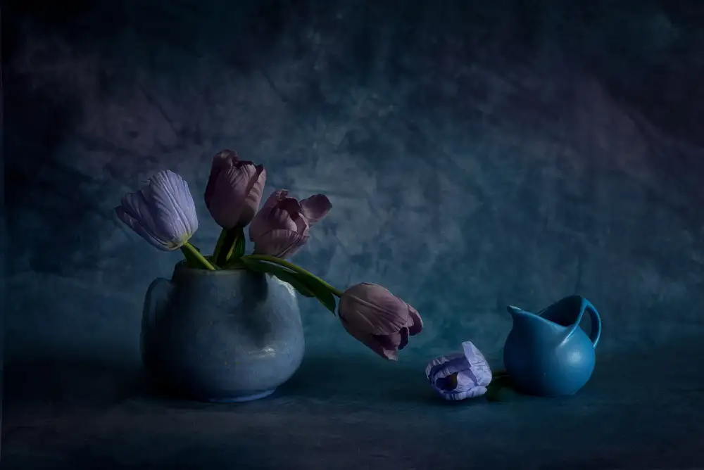 Xu, Wendy: tulipány
