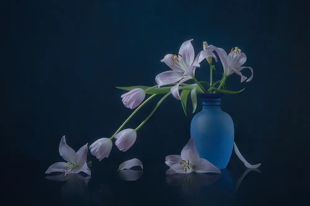 Jacobs, Lydia: Tulipe et Lys