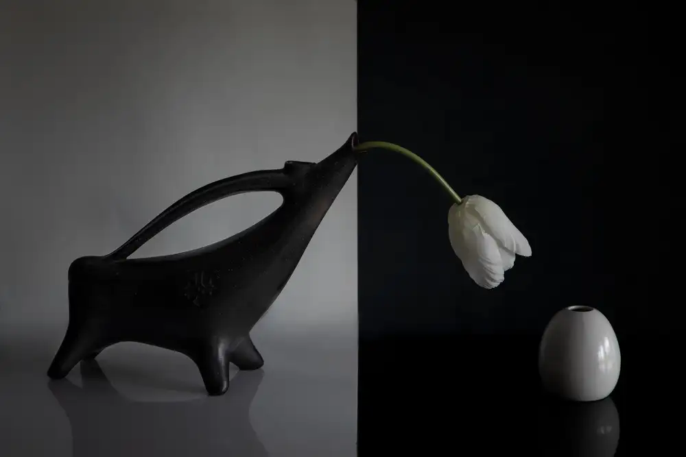 Zhang, Dennis: Tulips