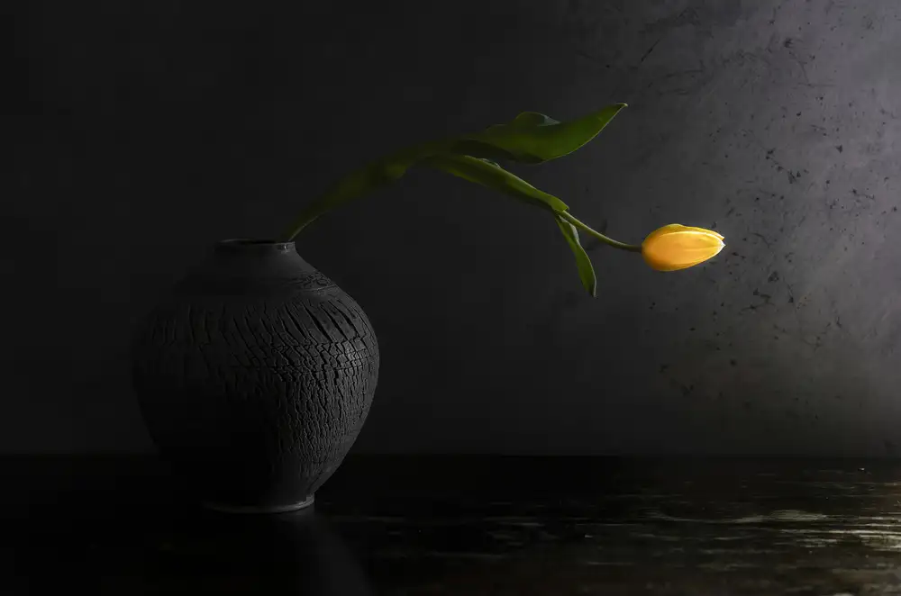 Tseng, Judy: Gray and yellow still life