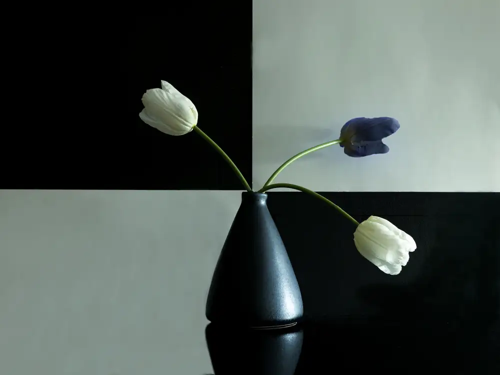 Zhang, Dennis: Tulips II