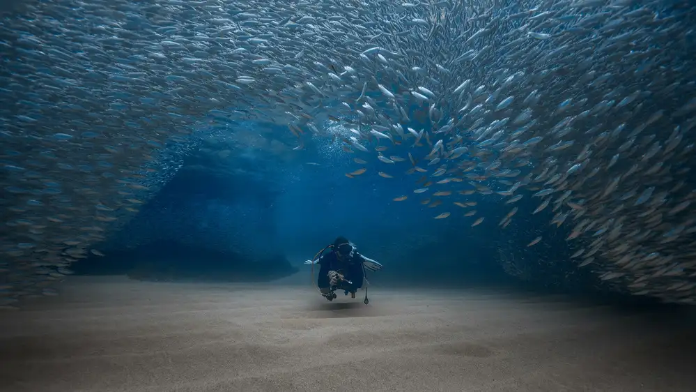Lu, Jennifer: Ocean -the fish home