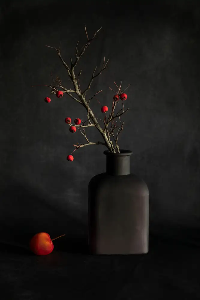 Zhang, Dennis: Winter berry