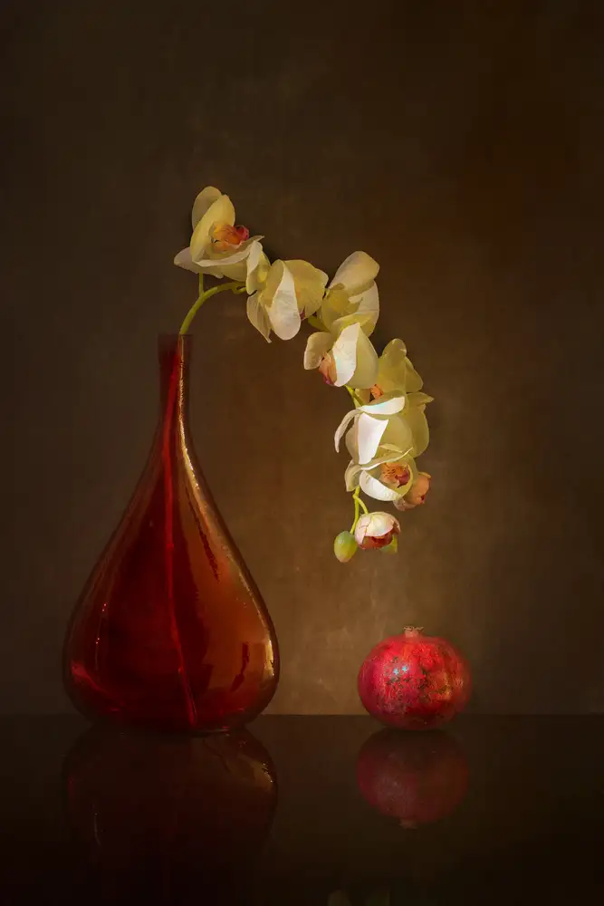 Xu, Wendy: Motýlí orchidej a granátové jablko