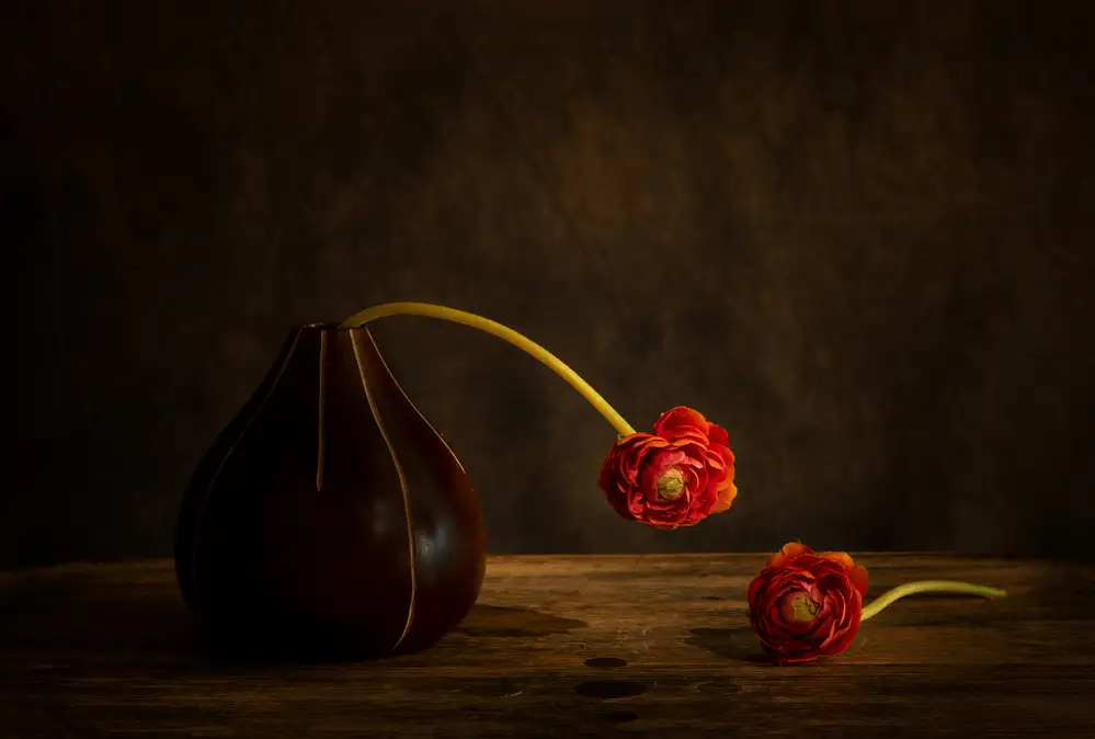 Zhang, Dennis: Ranunculus flower
